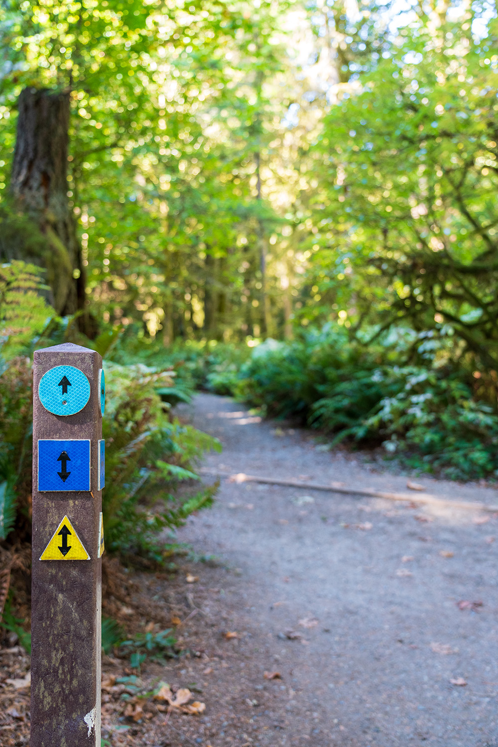 Point Defiance Loop
