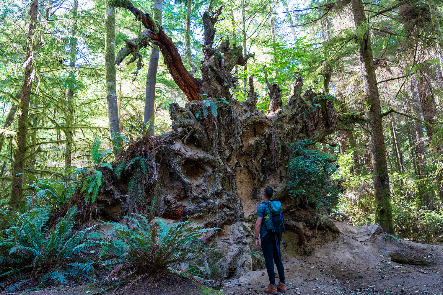 Point Defiance Loop