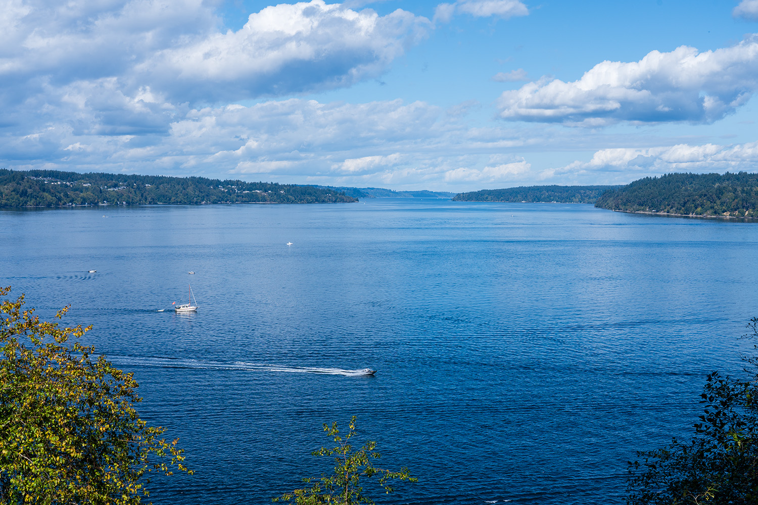 Point Defiance Loop