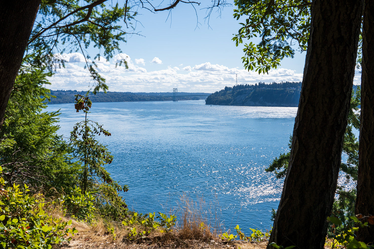 Point Defiance Loop
