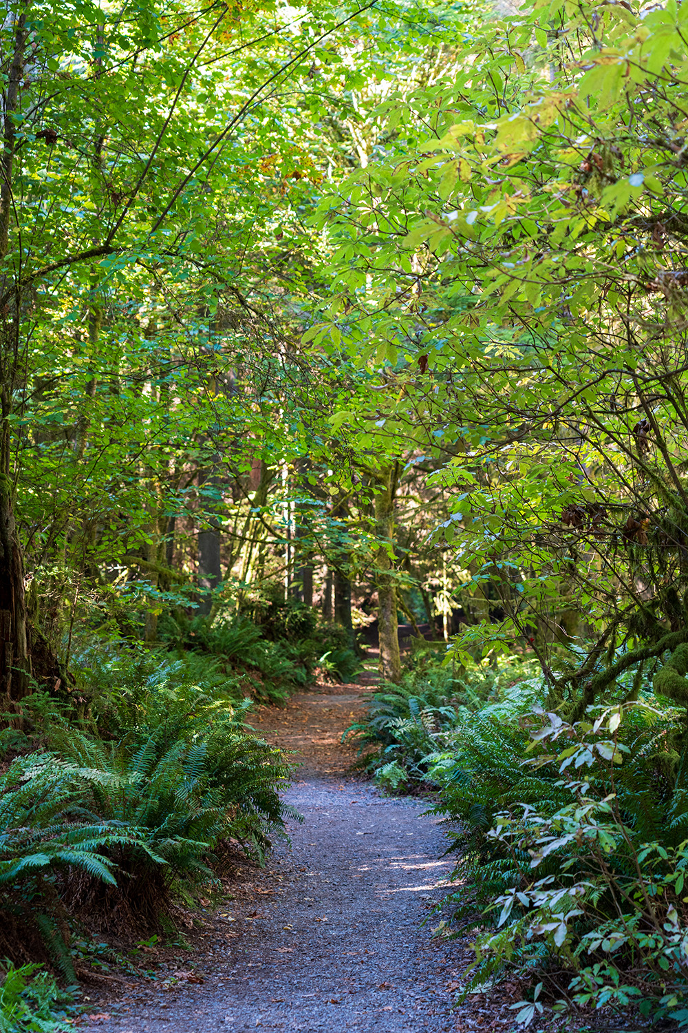 Point Defiance Loop