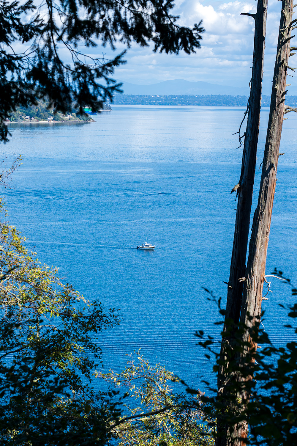 Point Defiance Loop