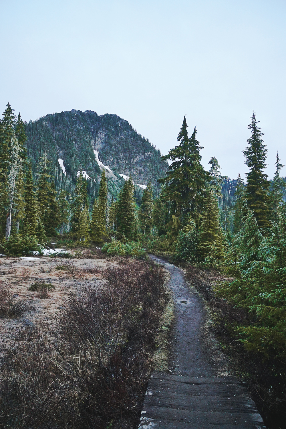 Park Butte Lookout