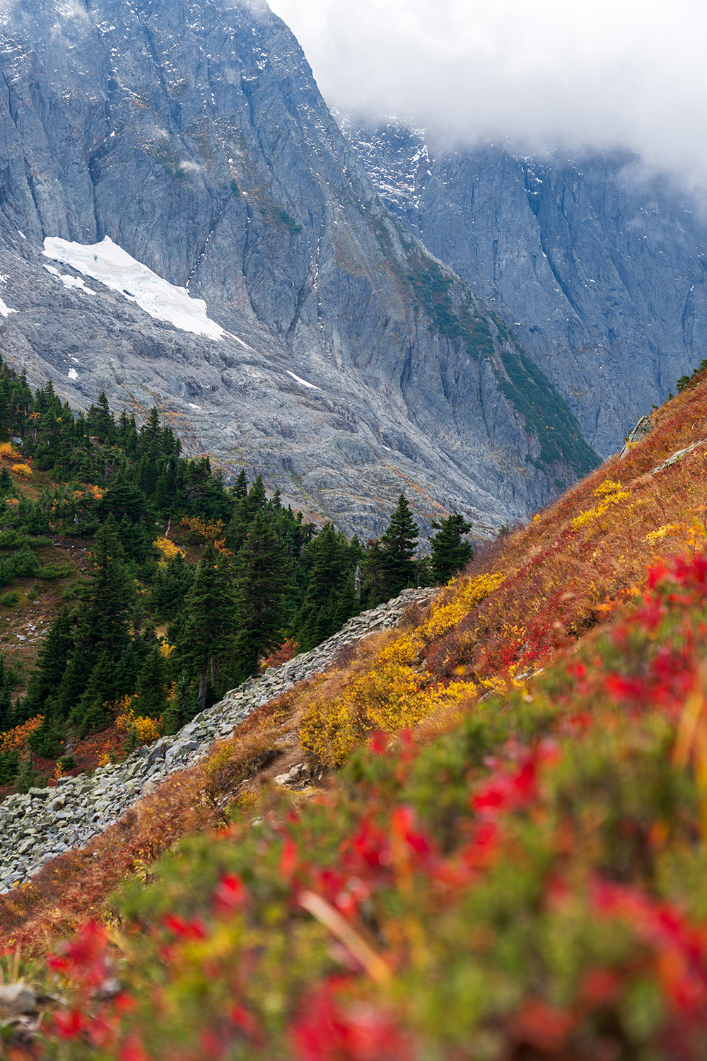 north cascades national park fall foliage on cascade pass