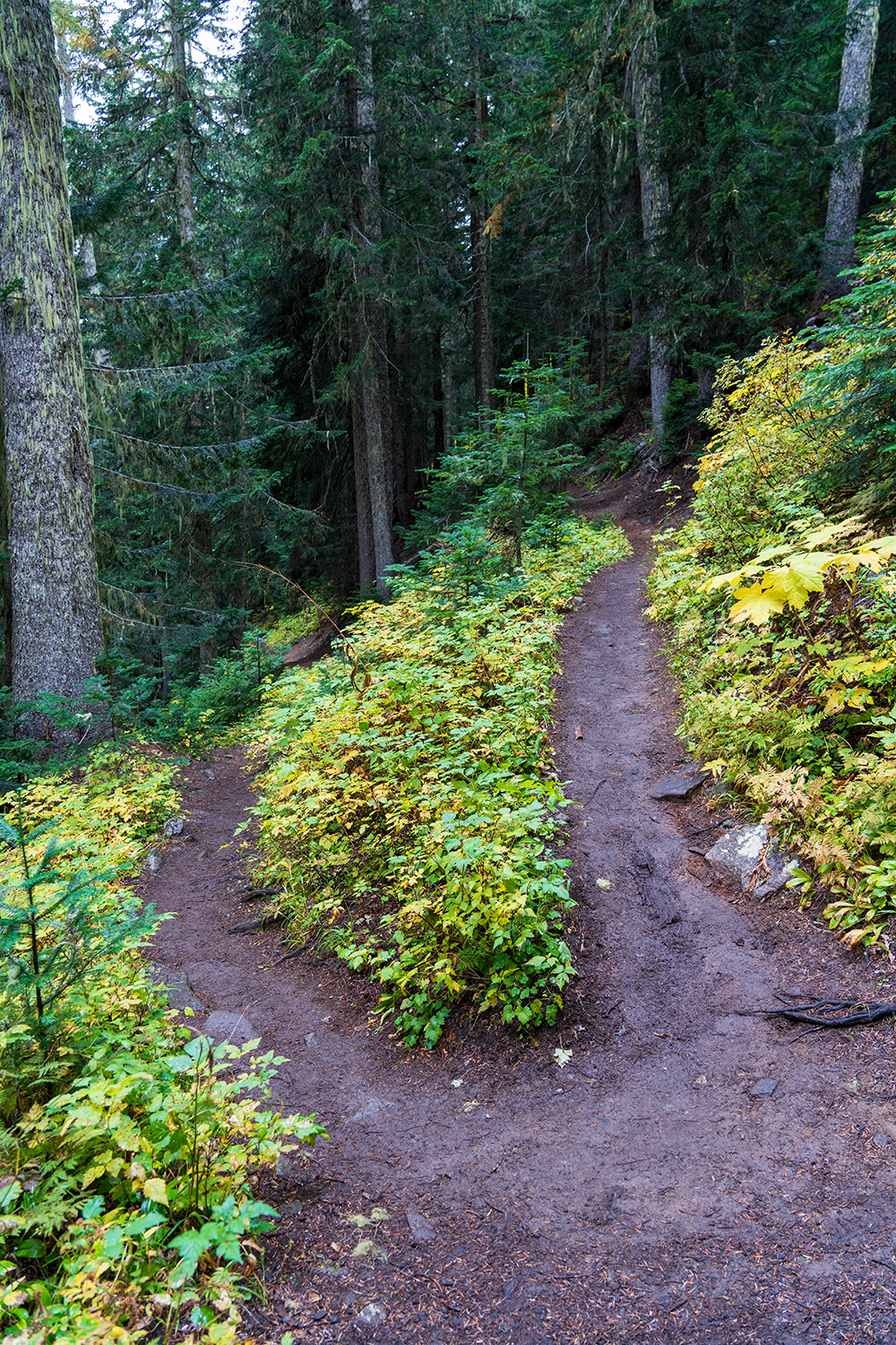 cascade pass trail switchbacks