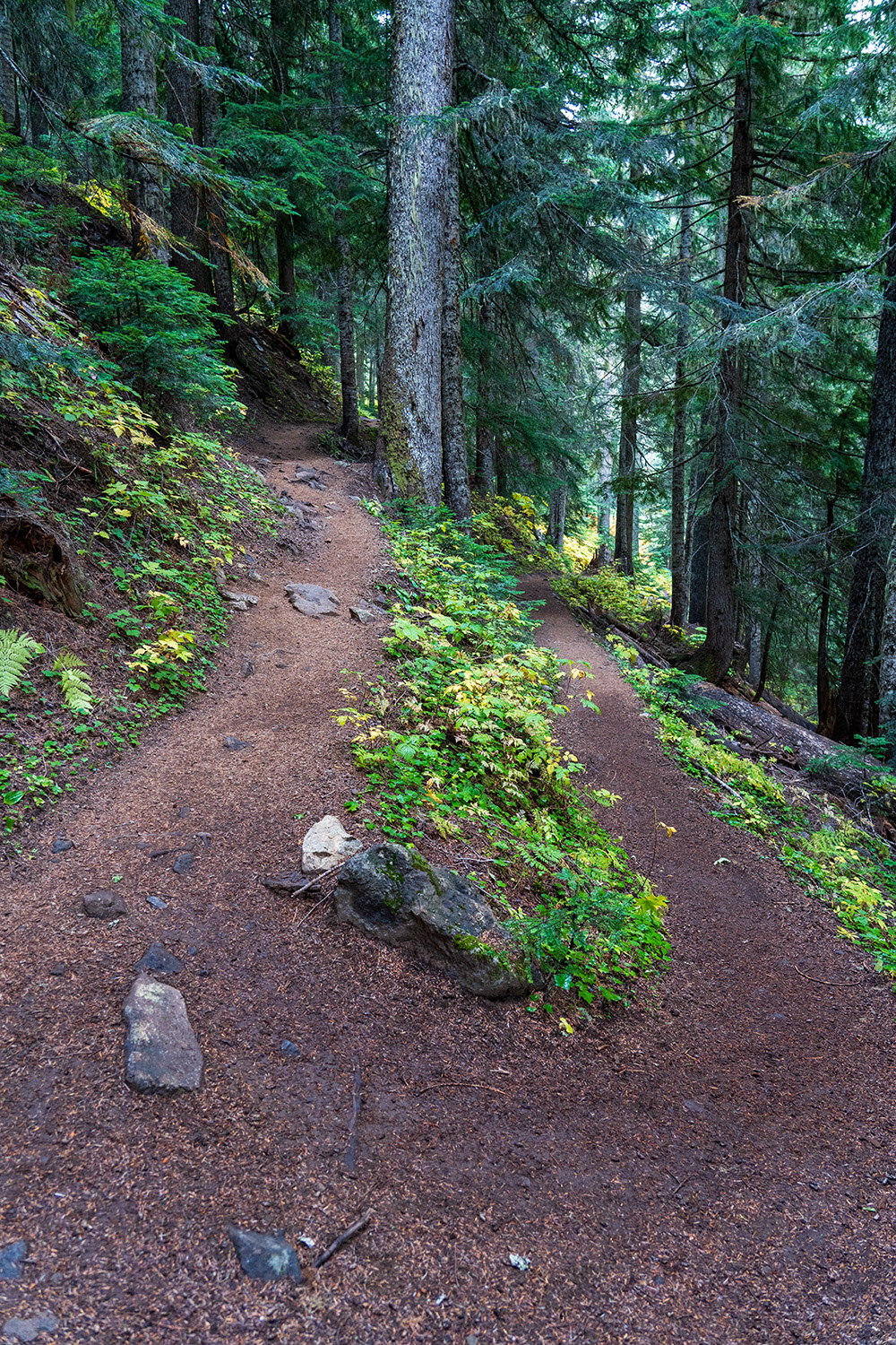 cascade pass trail switchbacks