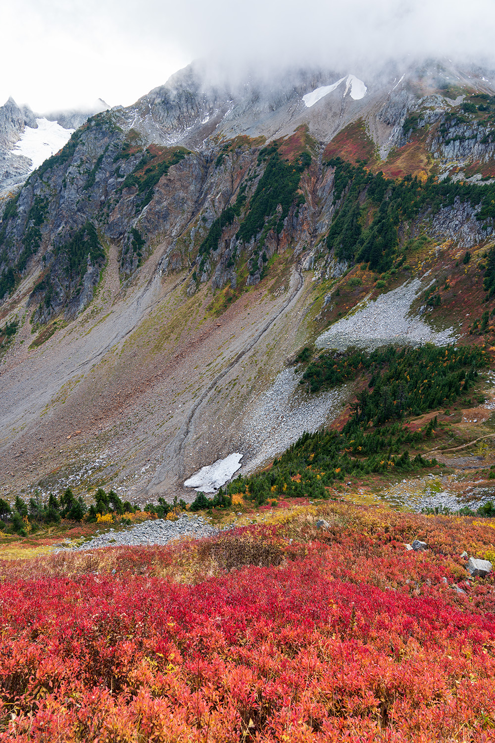 north cascades national park fall foliage on cascade pass