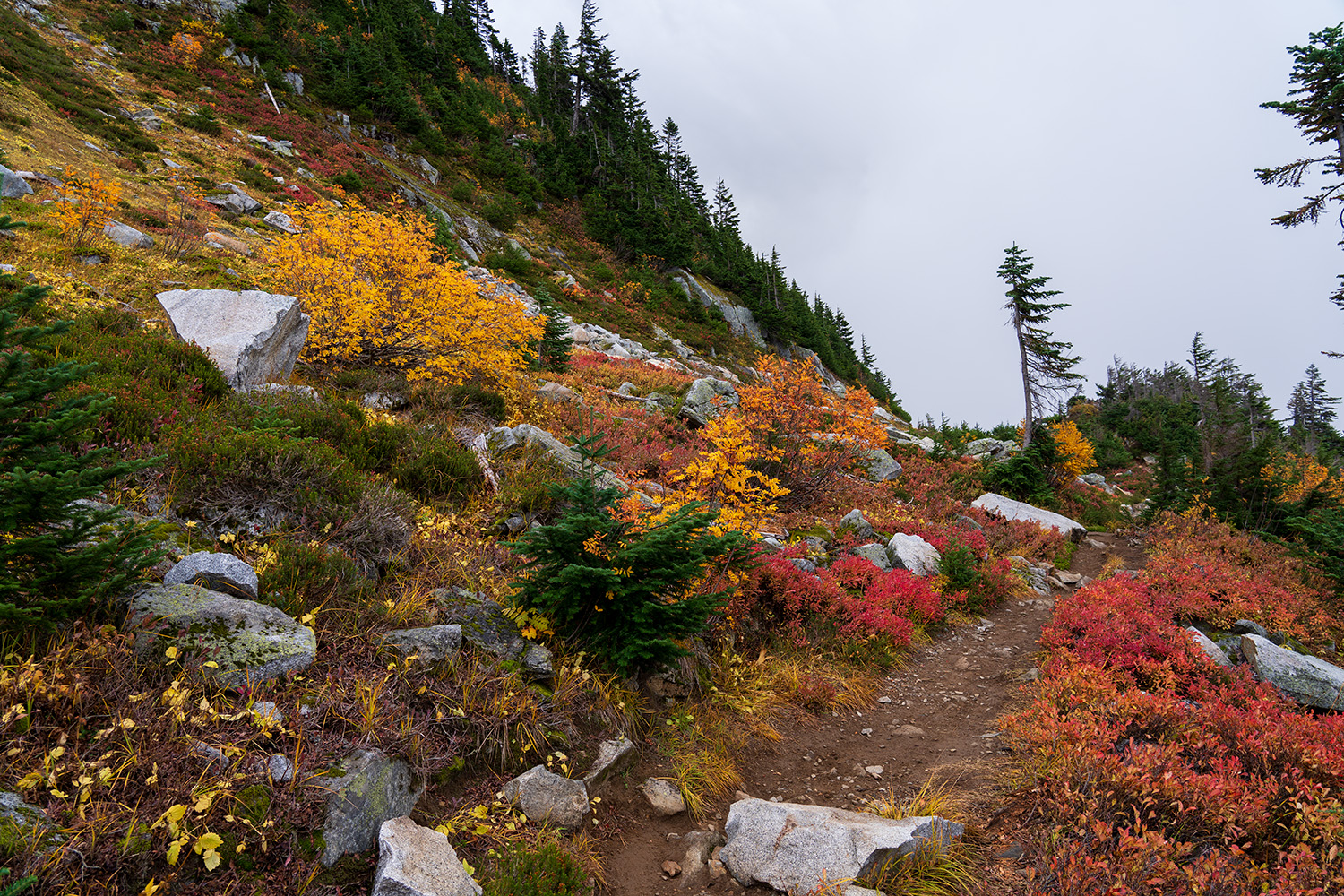vibrant fall colors cascade pass national park