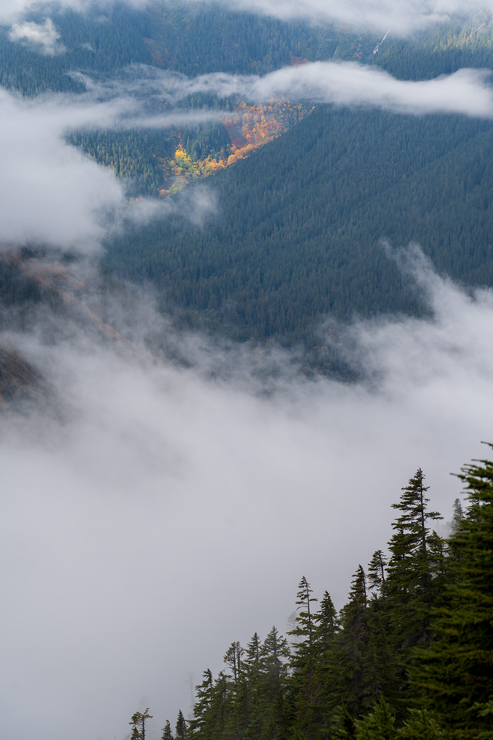 cascade pass trail north cascades national park