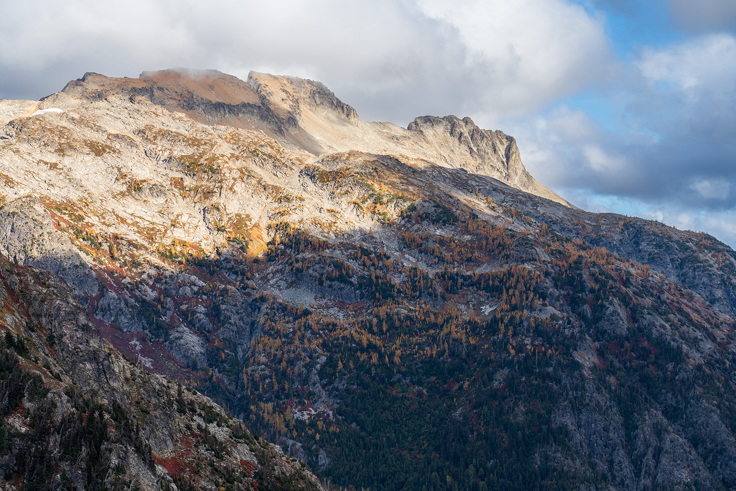 larches north cascades national park cascade pass