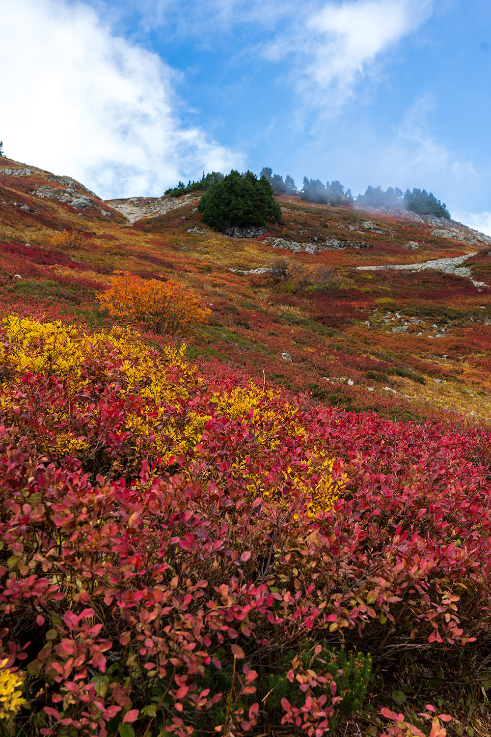 fall foliage on cascade pass