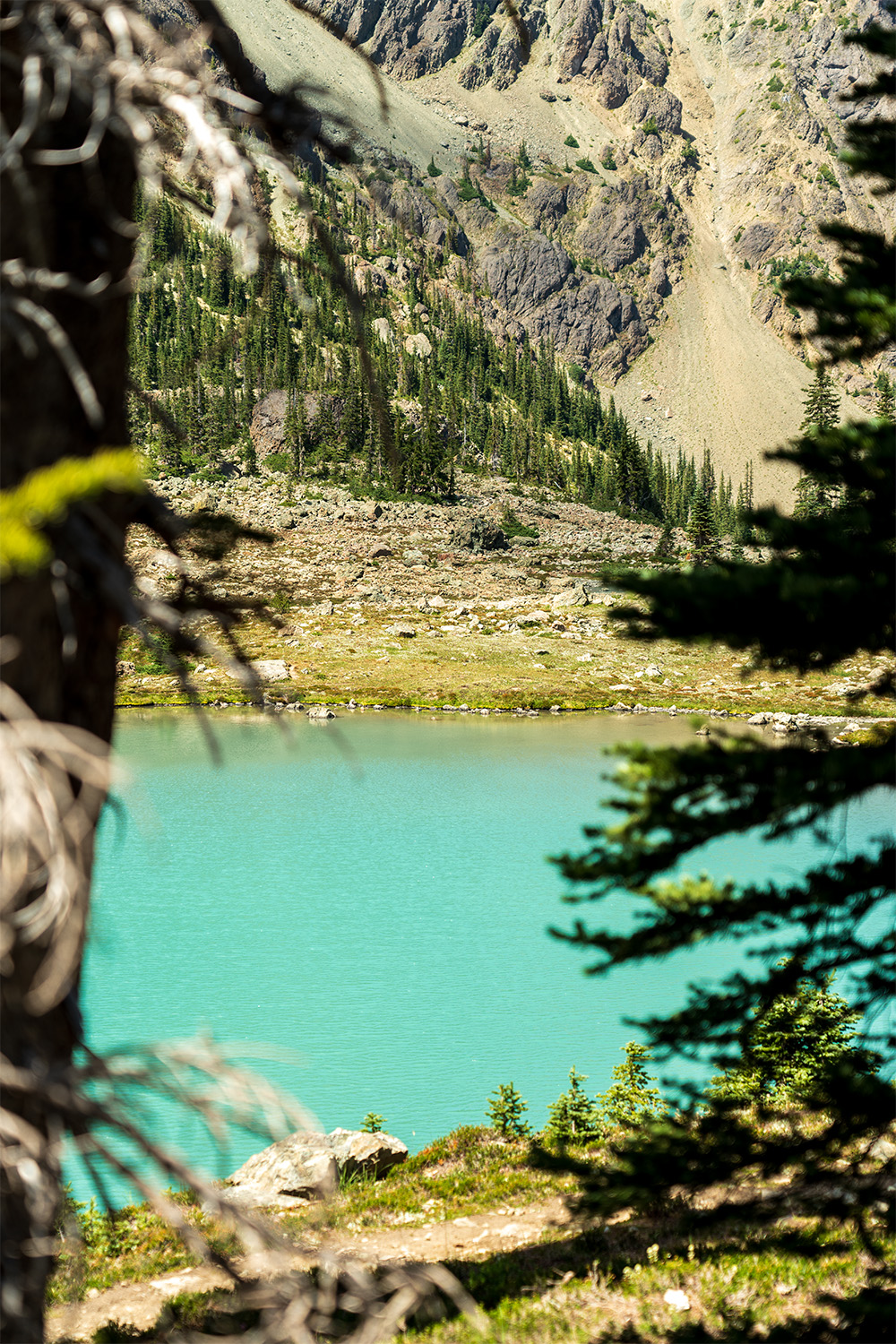 Royal Basin