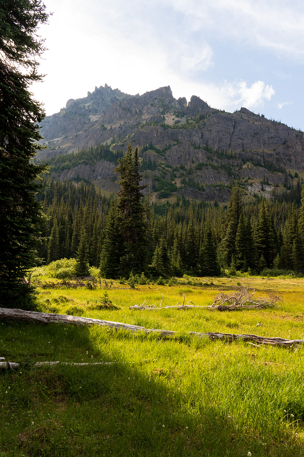 Royal Basin
