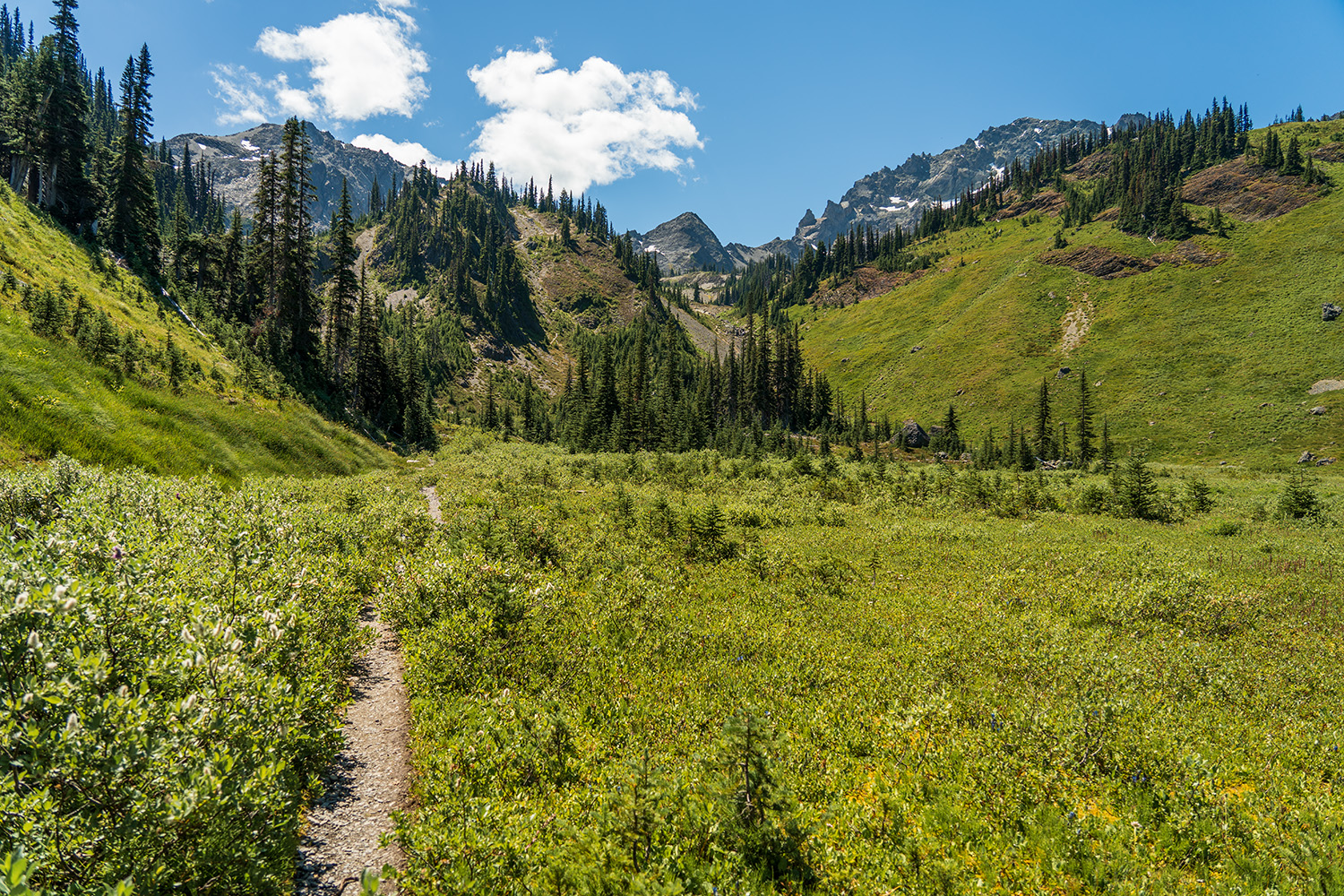 Royal Basin