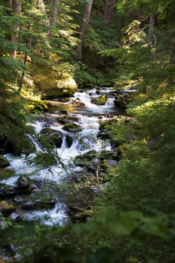 Royal Basin