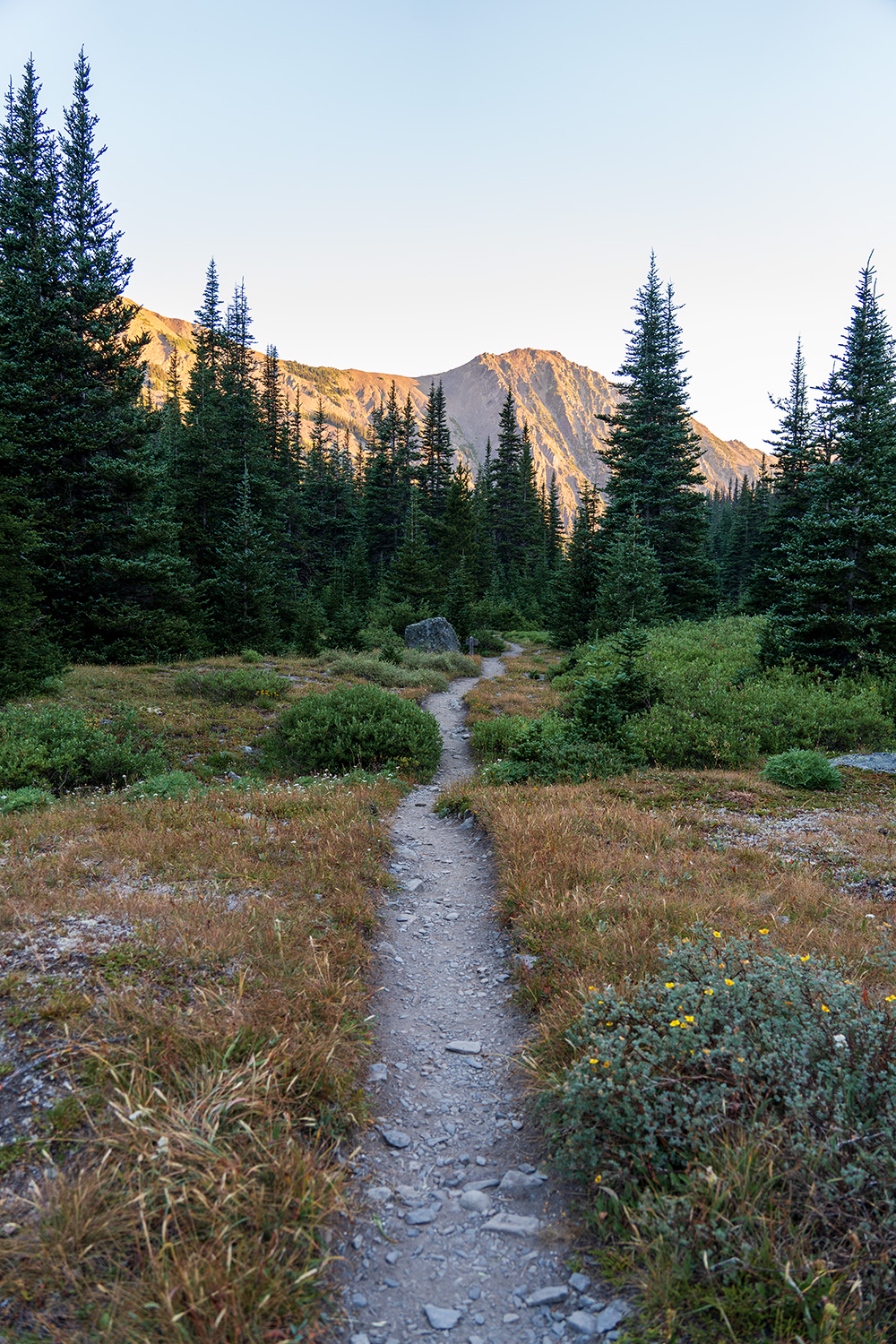 Royal Basin