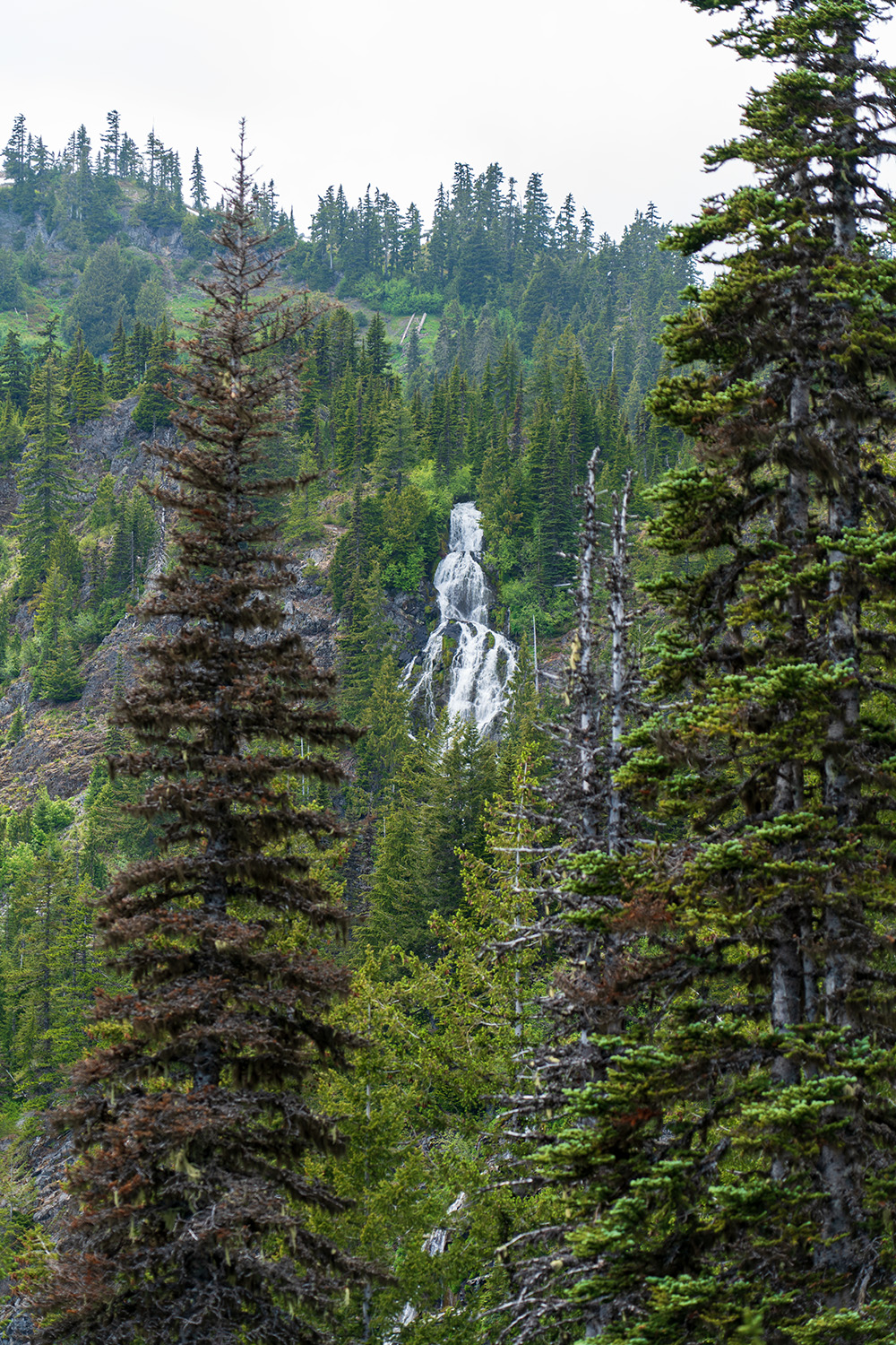 Lake of the Angels