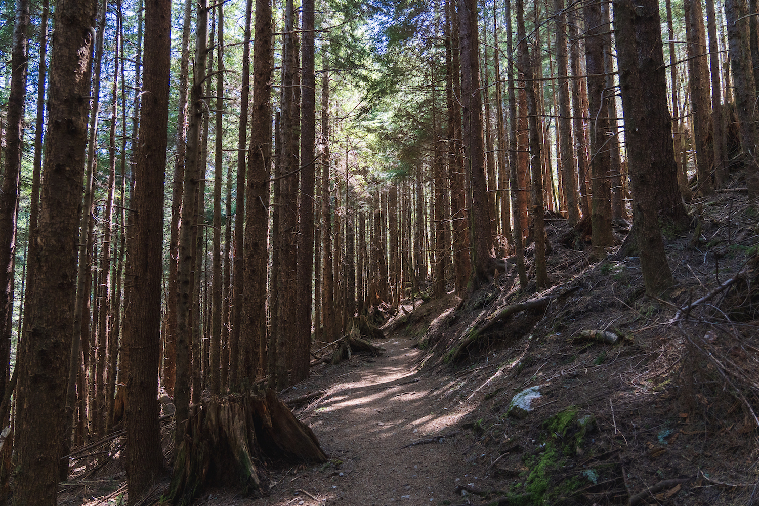 Barclay Lake