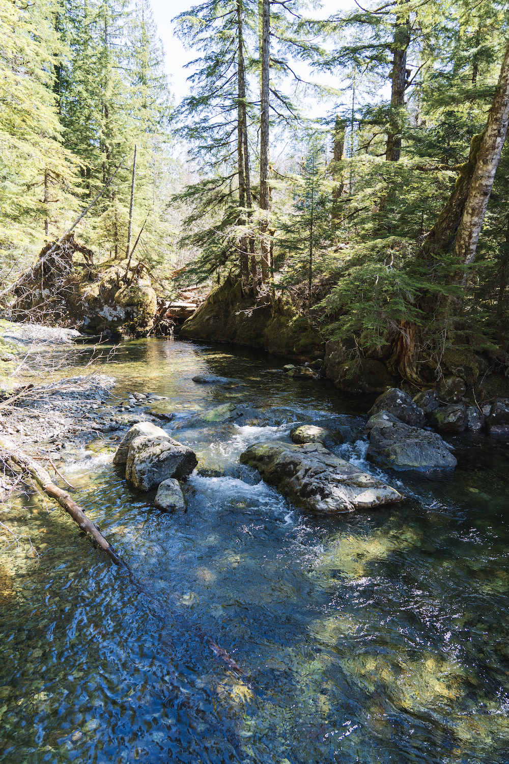 Barclay Lake