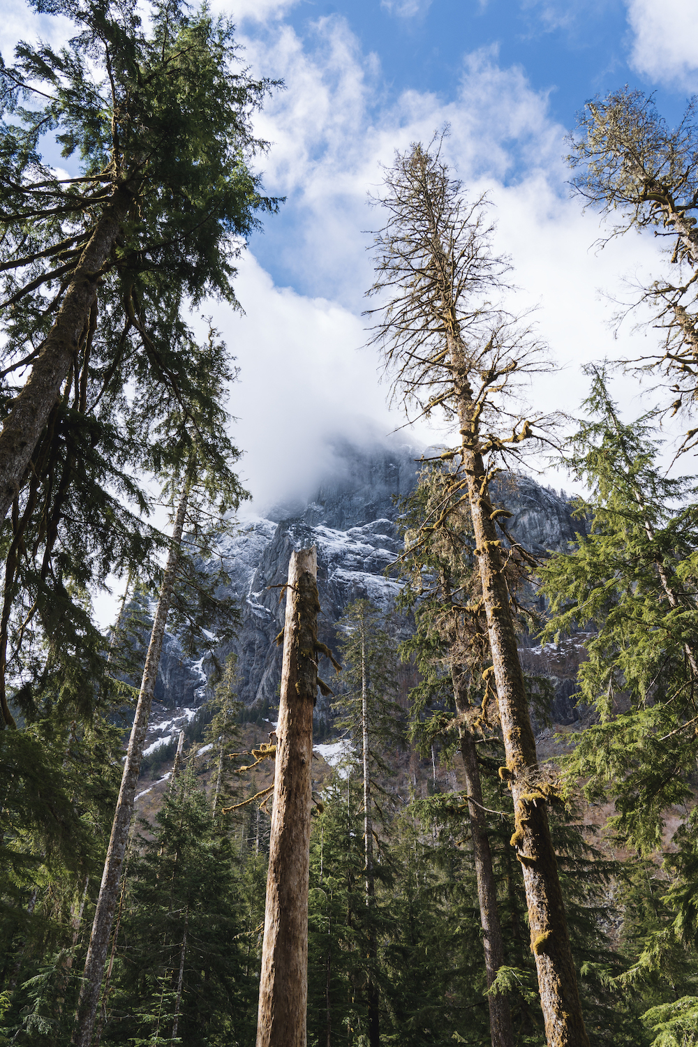 Barclay Lake