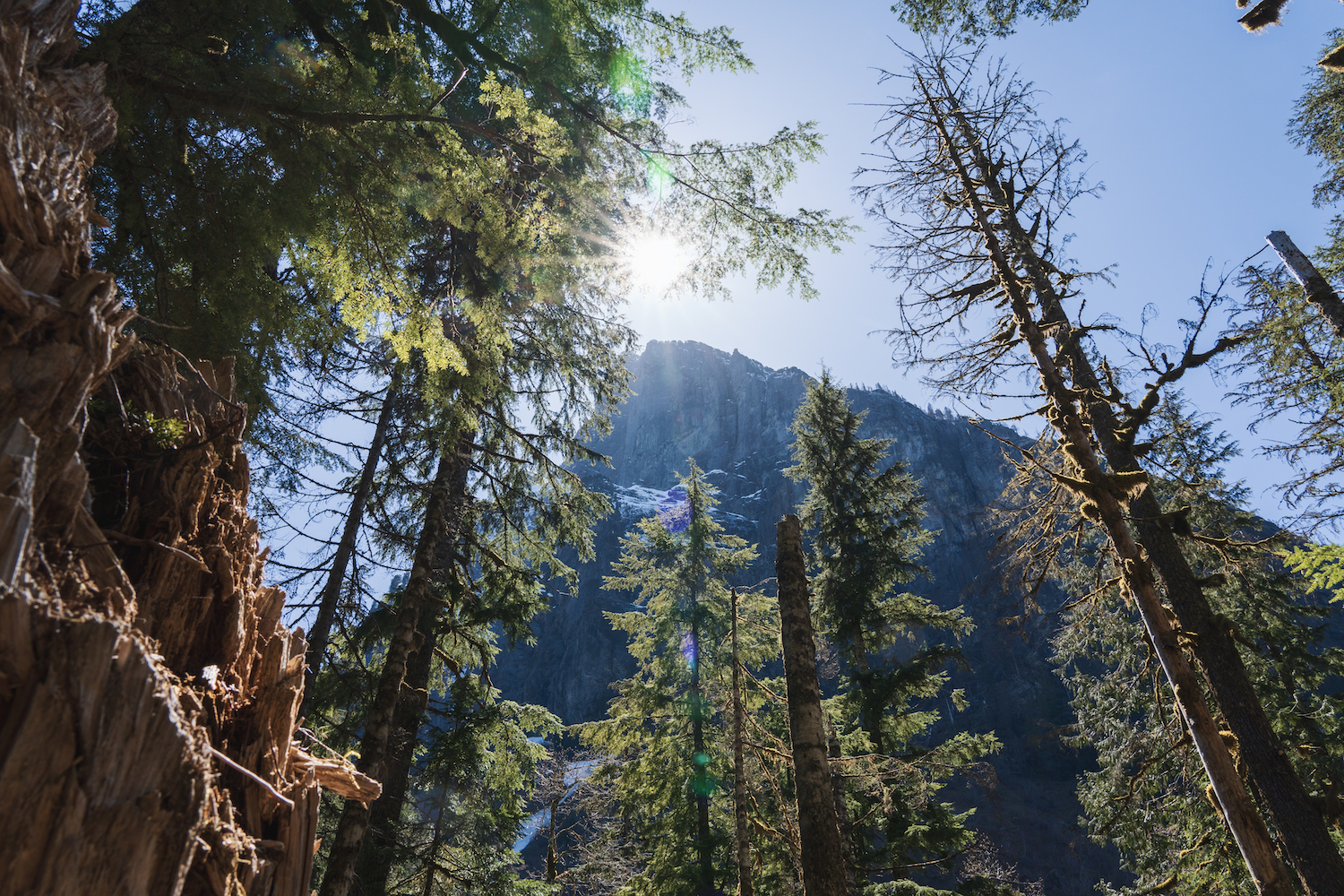 Barclay Lake