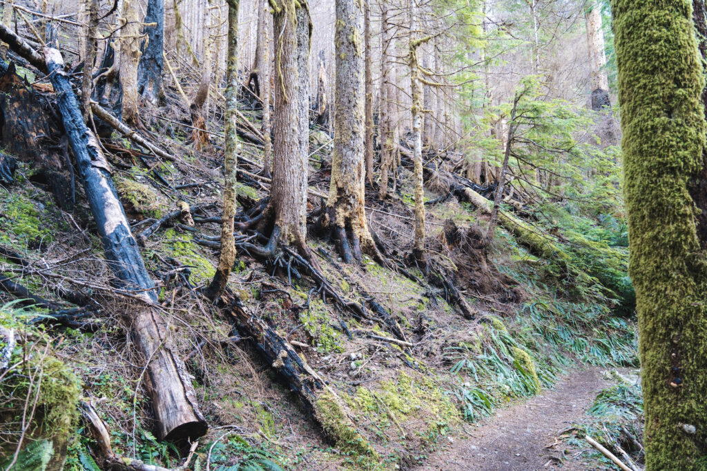 Barclay Lake