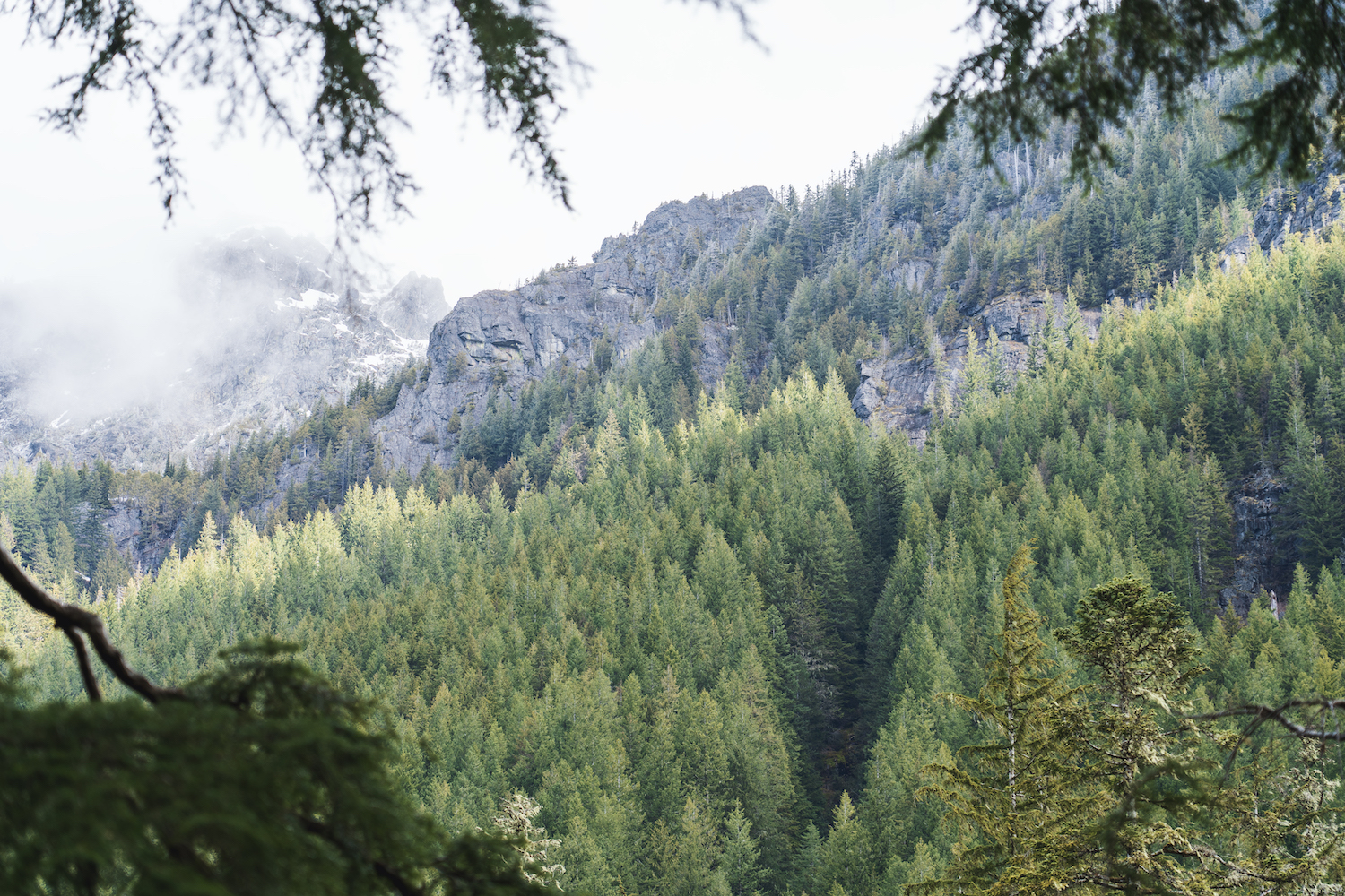 Barclay Lake