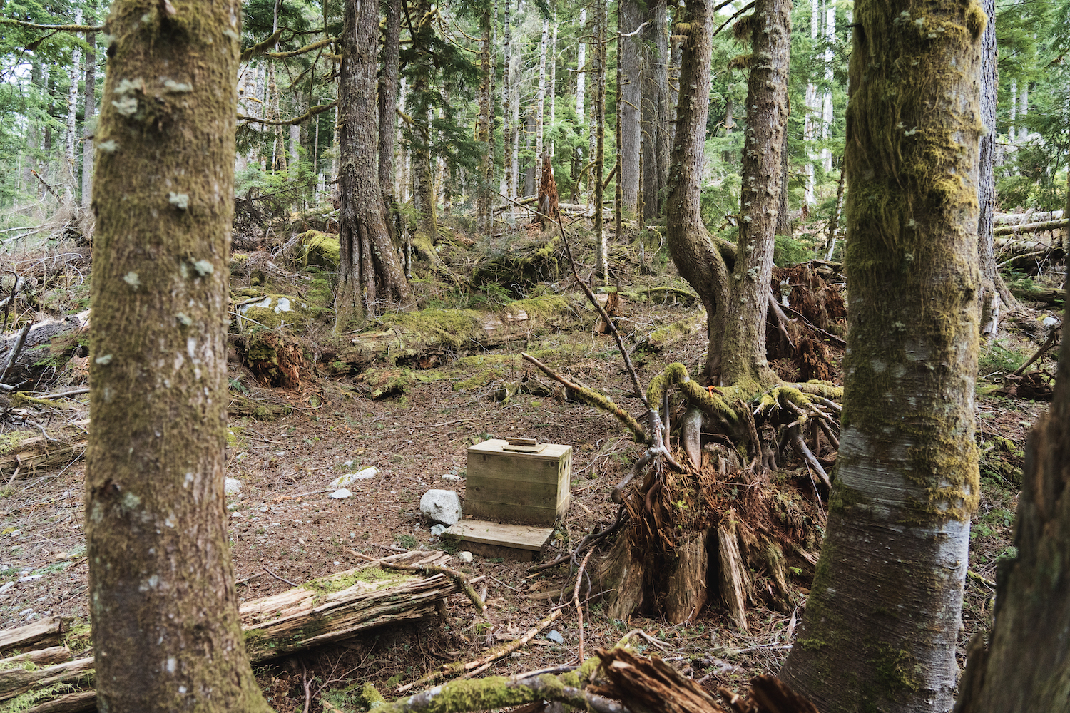 Barclay Lake