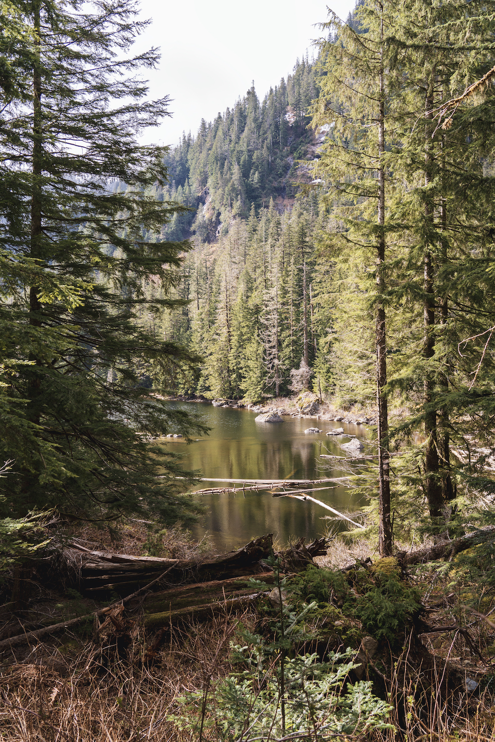 Barclay Lake