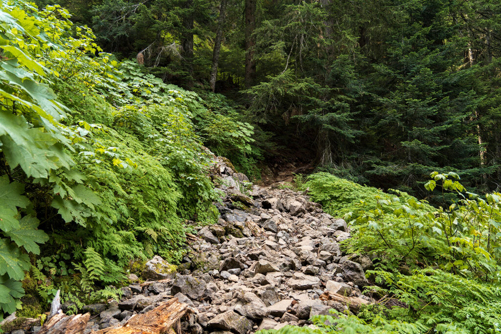 trail to bertha may lake