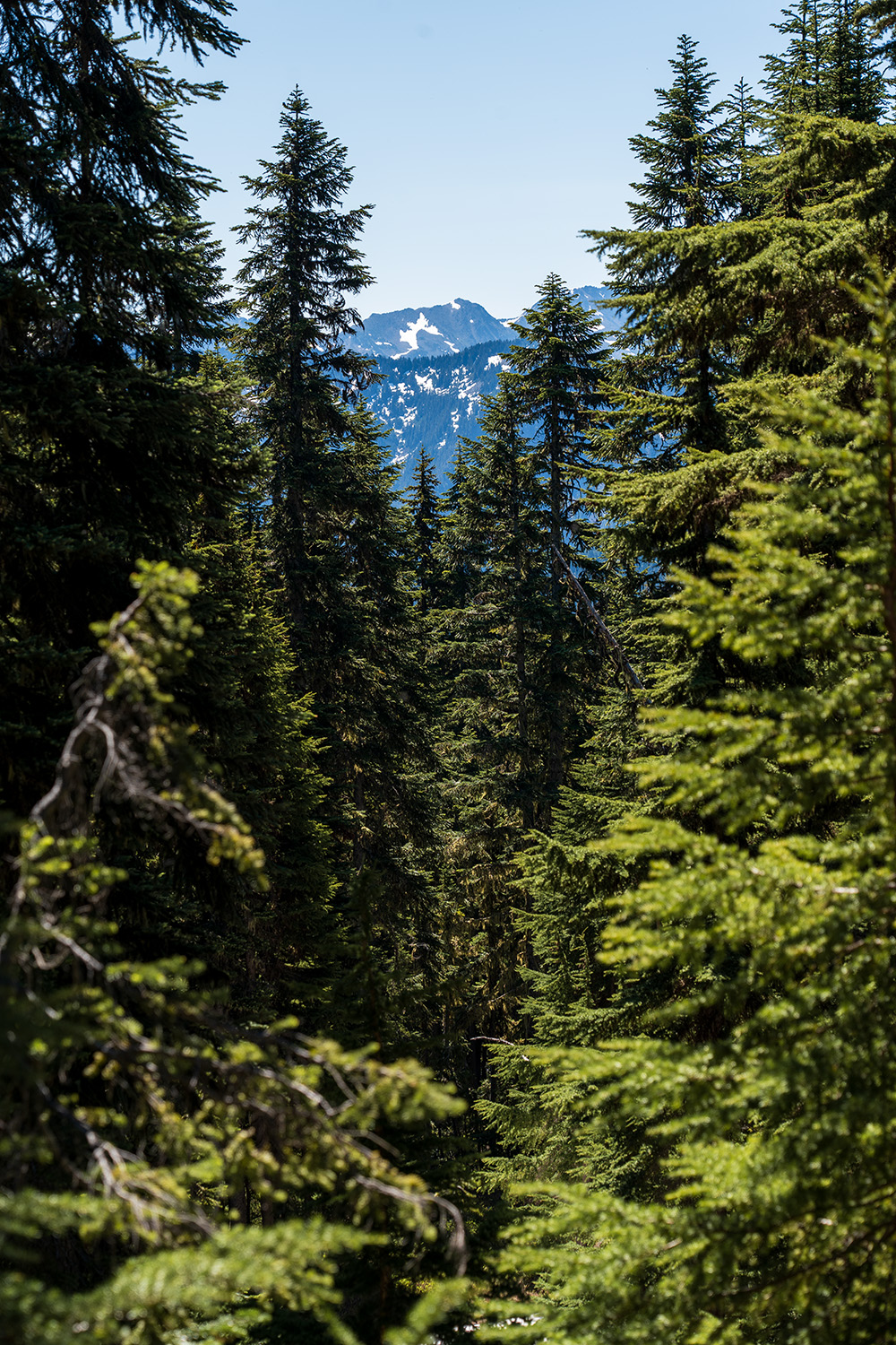 Minotaur Lake