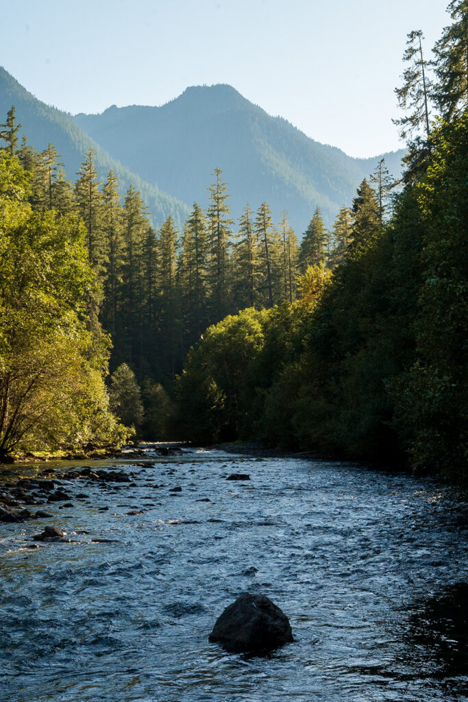 Dosewallips River, lake constance trail, olympic national park