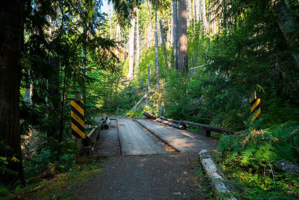 lake constance trail, dosewallips trail, biking