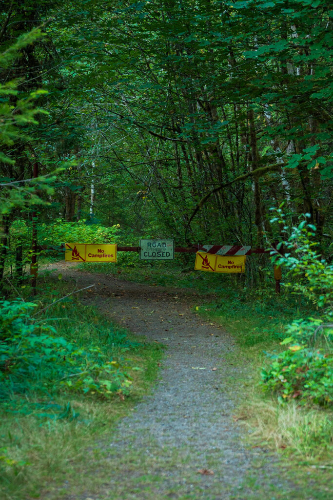 dispersed camping at elkhorn campground