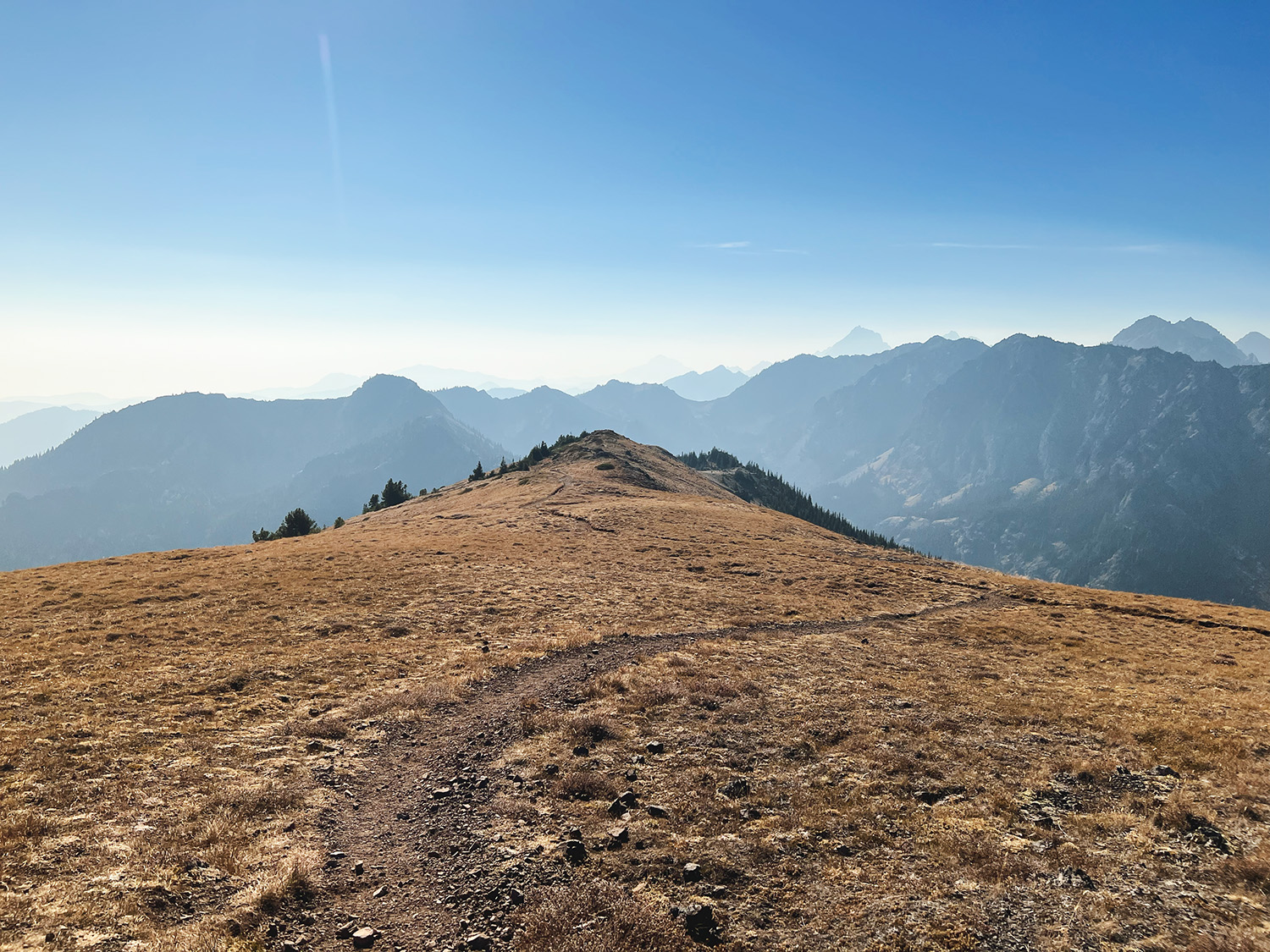Mount Townsend: Epic Olympic Views for Day Hikes or Backpacking