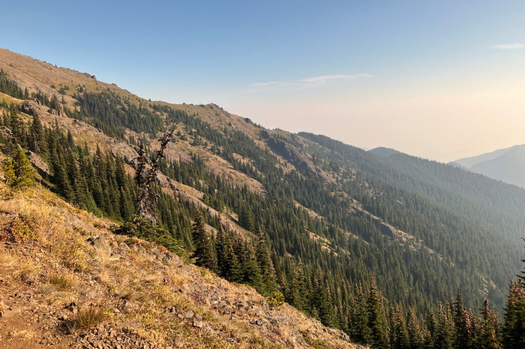 hiking mount townsend trail olympic national forest