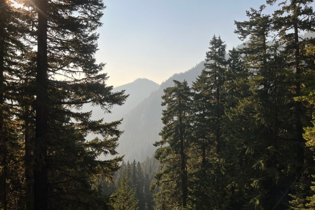 mount townsend trail olympic national forest
