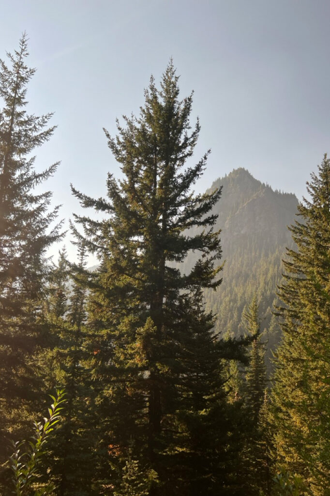 mount townsend trail olympic national forest