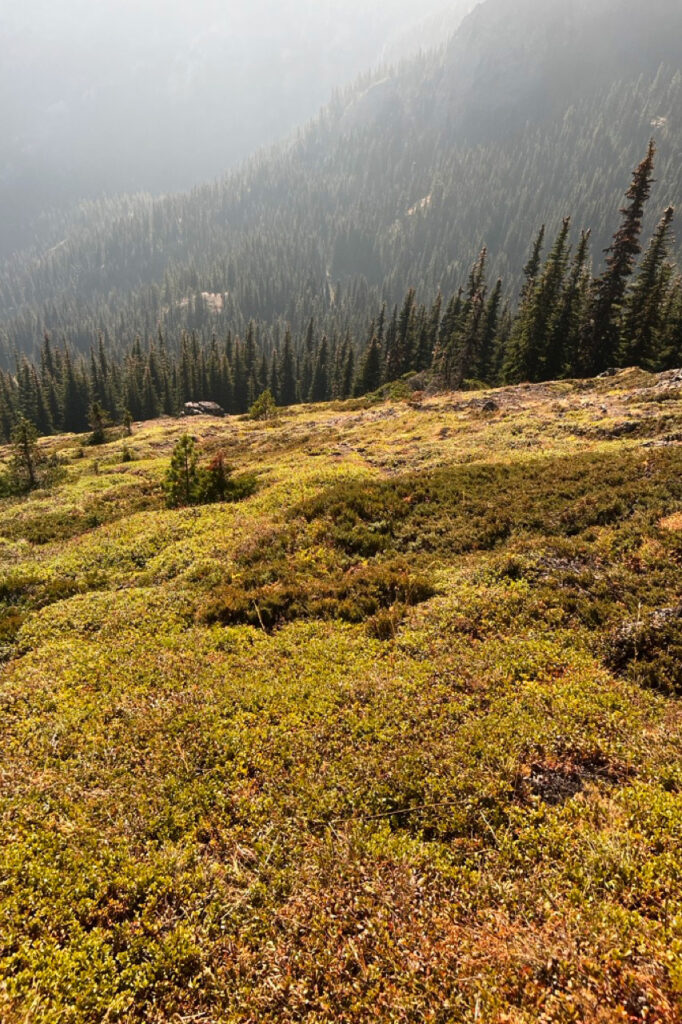 views on the mount townsend trail