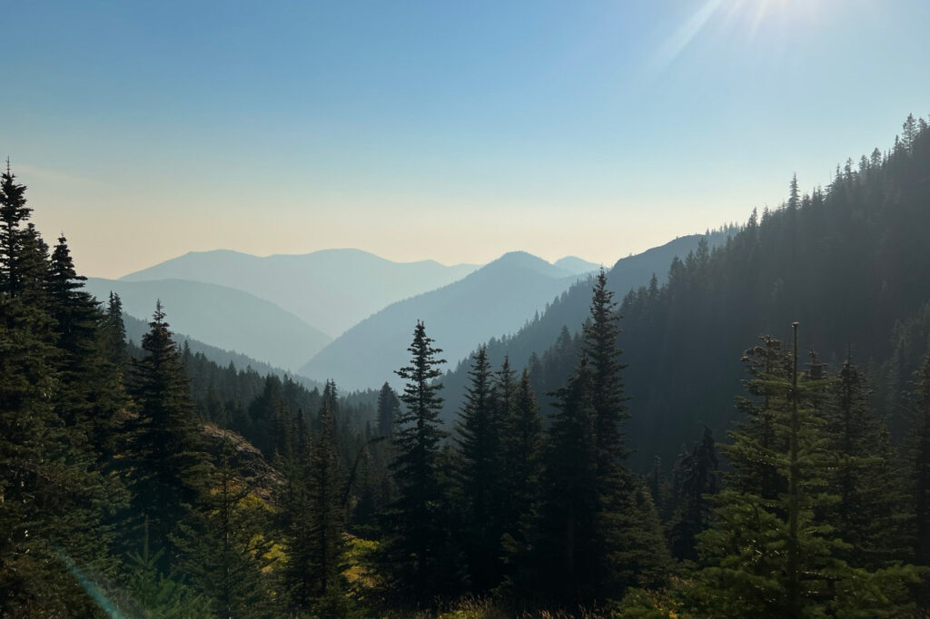 mount townsend trail olympic national forest