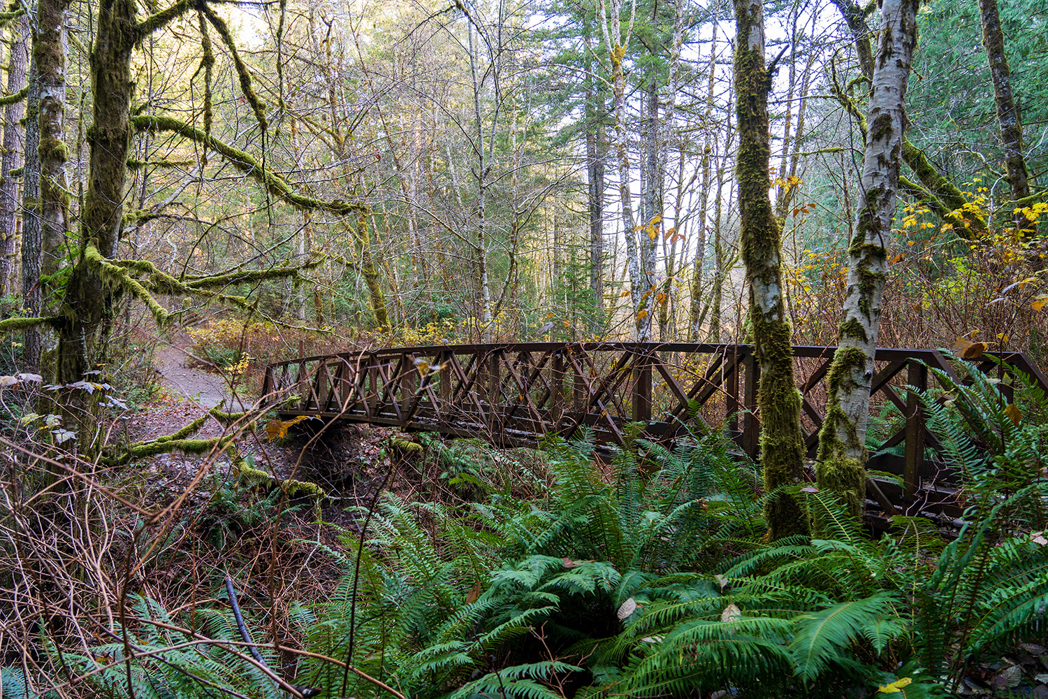 Green Mountain via Gold Creek Trail