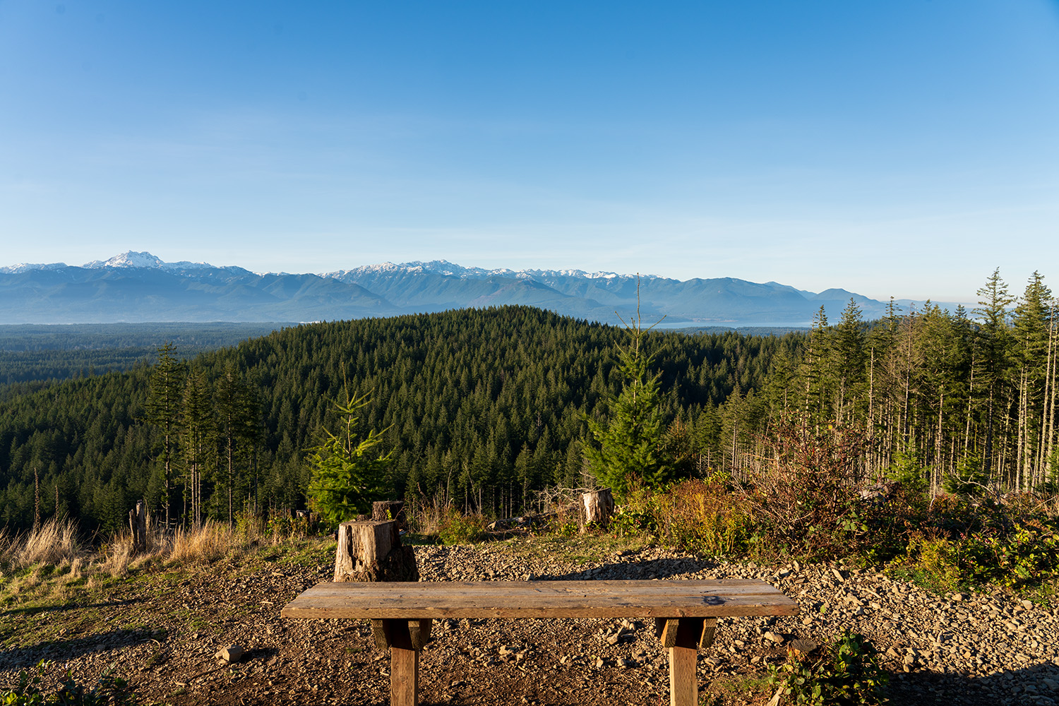 Green Mountain via Gold Creek Trail