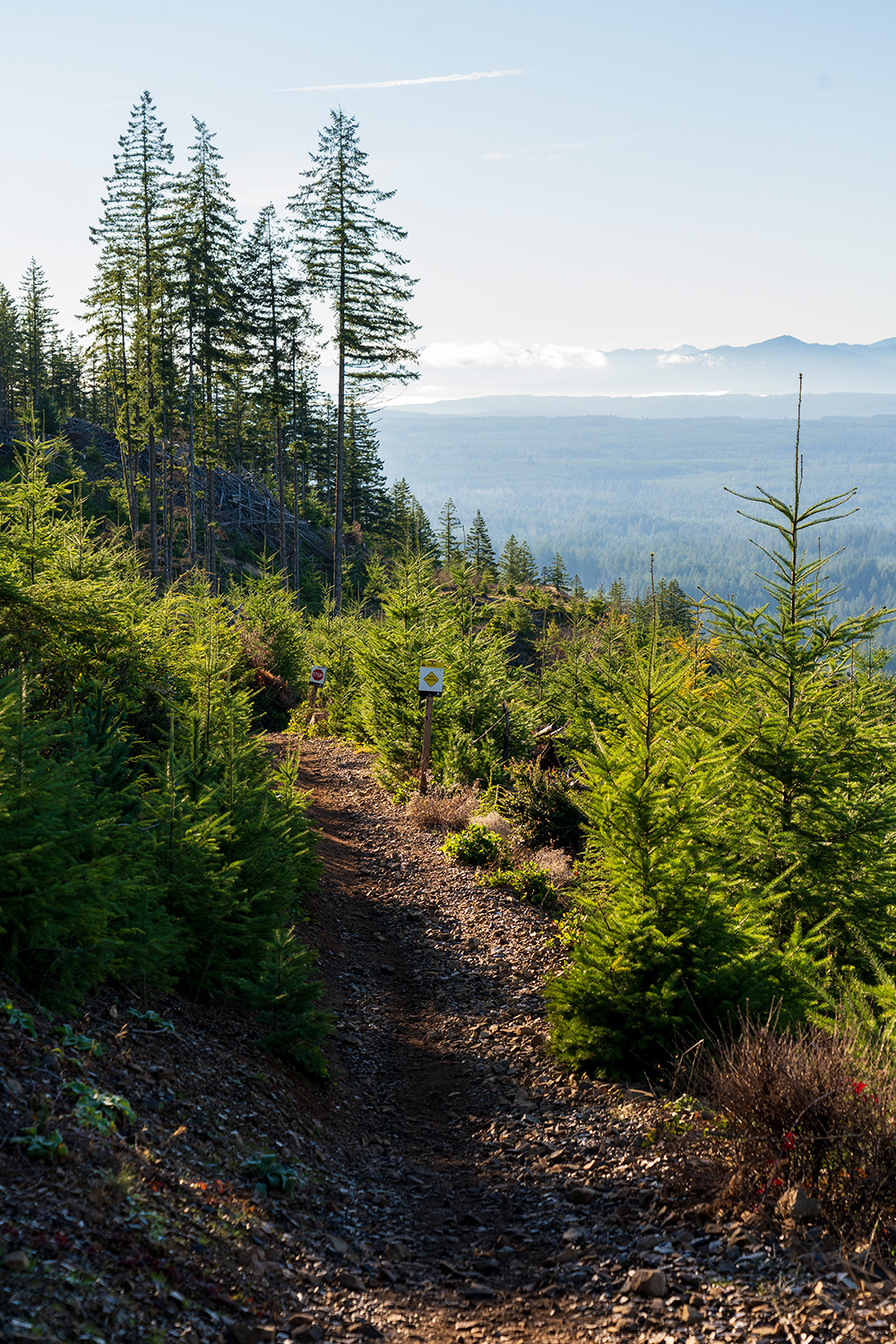 Green Mountain via Gold Creek Trail
