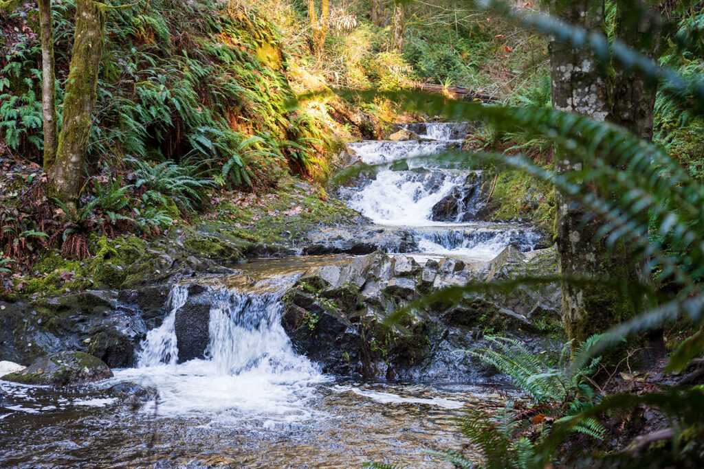 Green Mountain via Gold Creek Trail