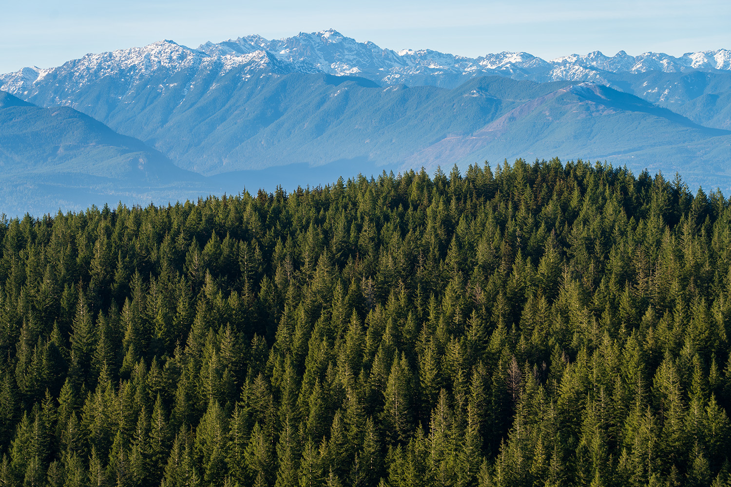 Green Mountain via Gold Creek Trail