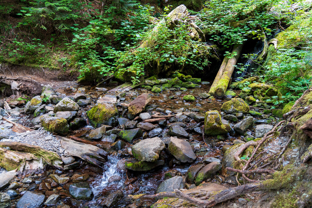 stream crossing vesper peak trail at initial section of the trail