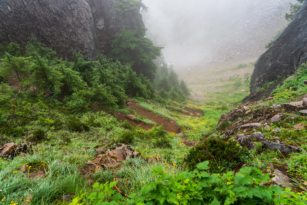 vesper peak meadows switchbacks heading up to headlee pass