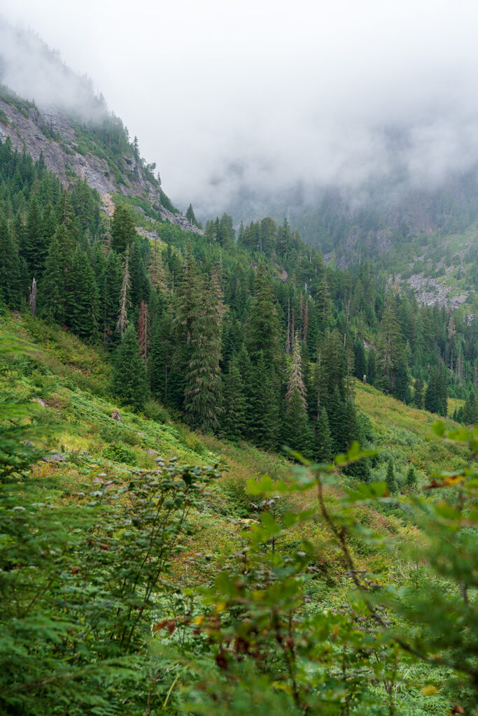 vesper peak trail hiking up