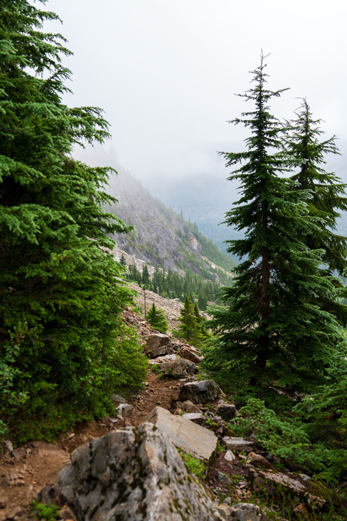 vesper peak trail heading up towards the pass