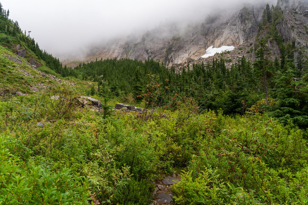 trail through valley headed up vesper peak
